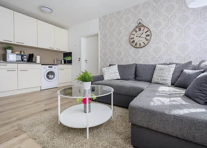 明斯特豪华公寓 公寓