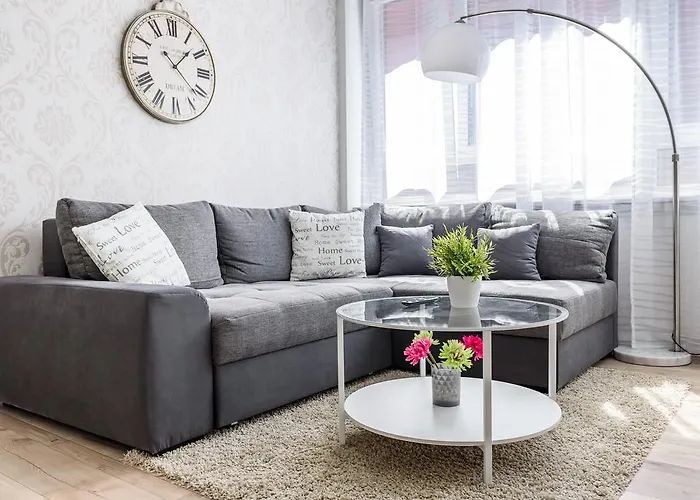 明斯特豪华公寓 *