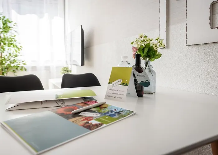 明斯特豪华公寓