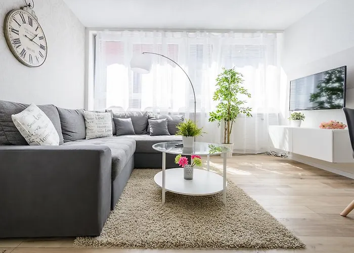 明斯特豪华公寓 * 弗赖堡