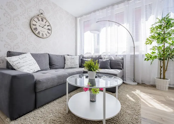 明斯特豪华公寓 公寓