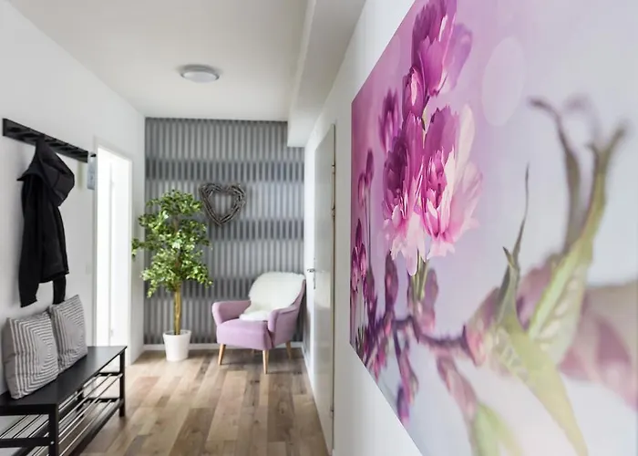 公寓 明斯特豪华公寓 弗赖堡