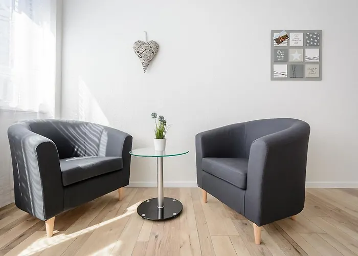 明斯特豪华公寓 *