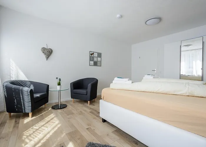 明斯特豪华公寓 公寓 *