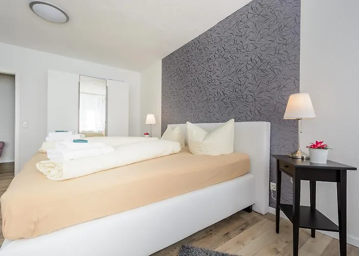 明斯特豪华公寓 * 弗赖堡