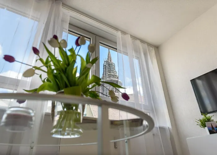 明斯特豪华公寓 *