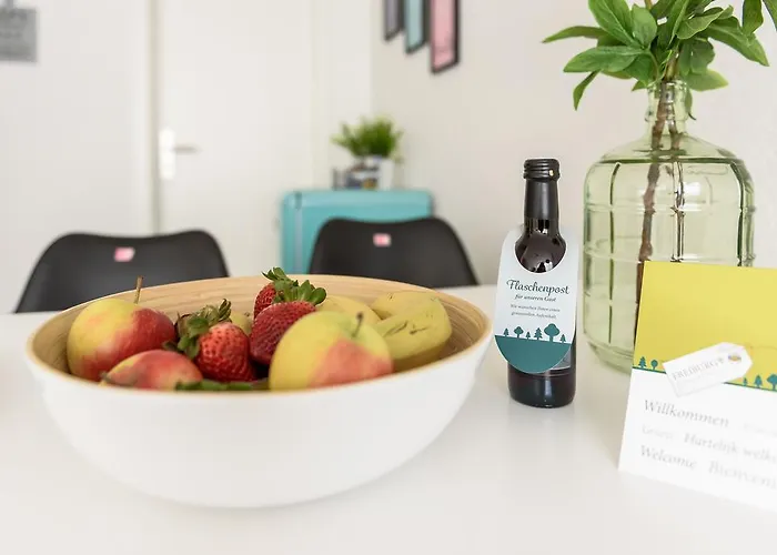 明斯特豪华公寓 公寓 弗赖堡