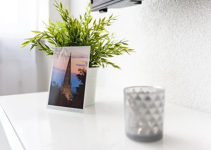 明斯特豪华公寓 弗赖堡