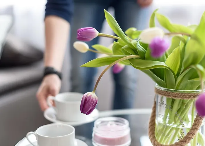 明斯特豪华公寓 公寓 *