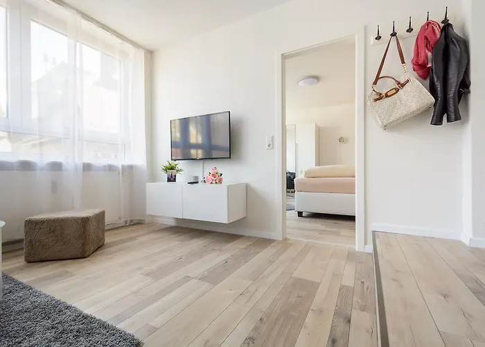 明斯特豪华公寓 公寓 弗赖堡