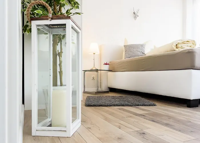 明斯特豪华公寓 * 弗赖堡