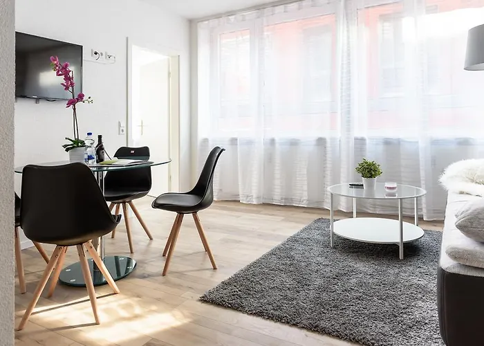 明斯特豪华公寓 * 弗赖堡