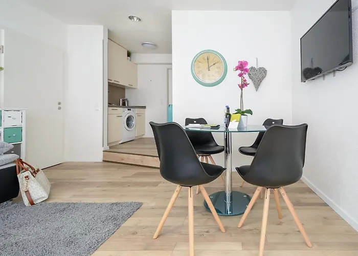 明斯特豪华公寓