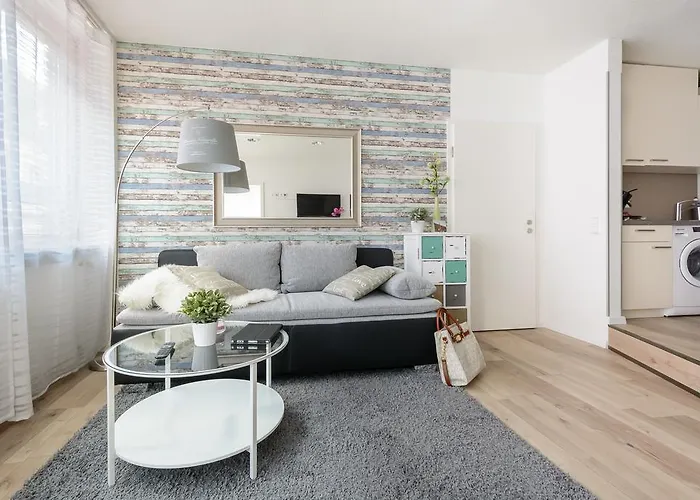 明斯特豪华公寓 * 弗赖堡